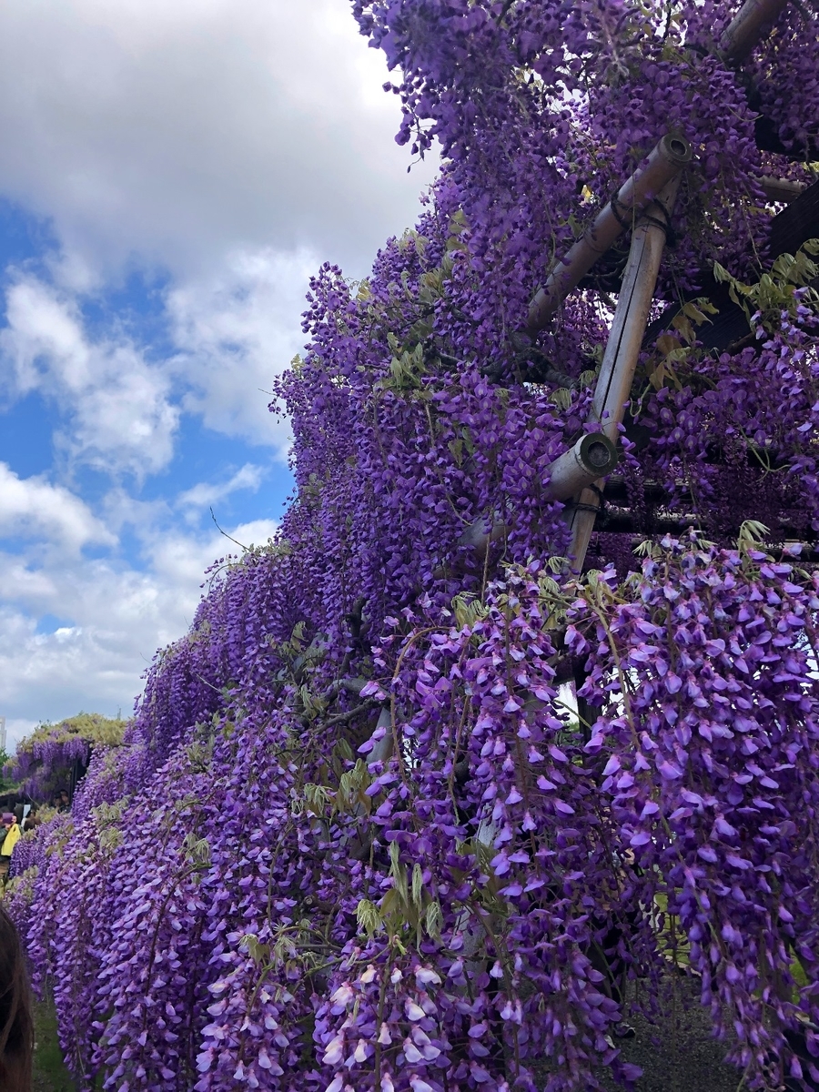 f:id:jimuin310:20190509161251j:plain f:id:jimuin310:20190509161251j:plain