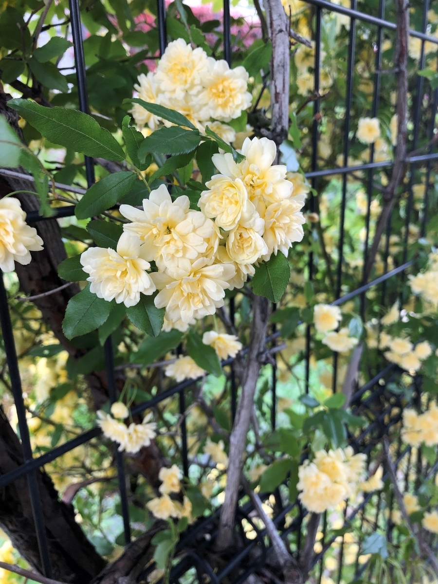 f:id:jimuin310:20190510135505j:plain f:id:jimuin310:20190510135505j:plain