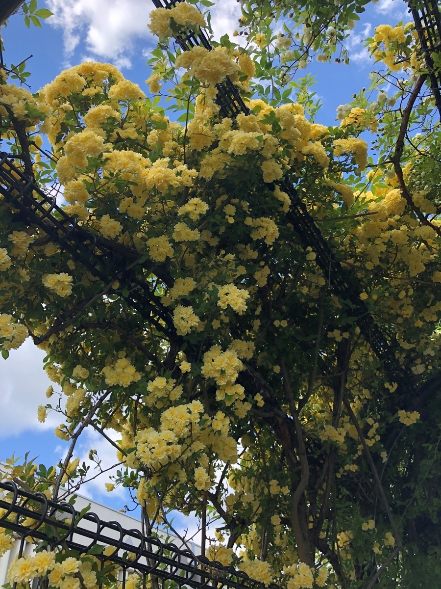 f:id:jimuin310:20190510135533j:plain f:id:jimuin310:20190510135533j:plain