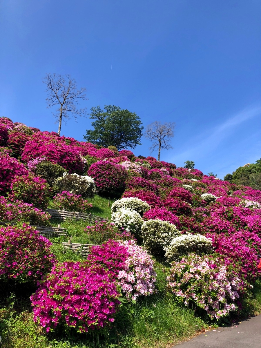 f:id:jimuin310:20190520112418j:plain f:id:jimuin310:20190520112418j:plain