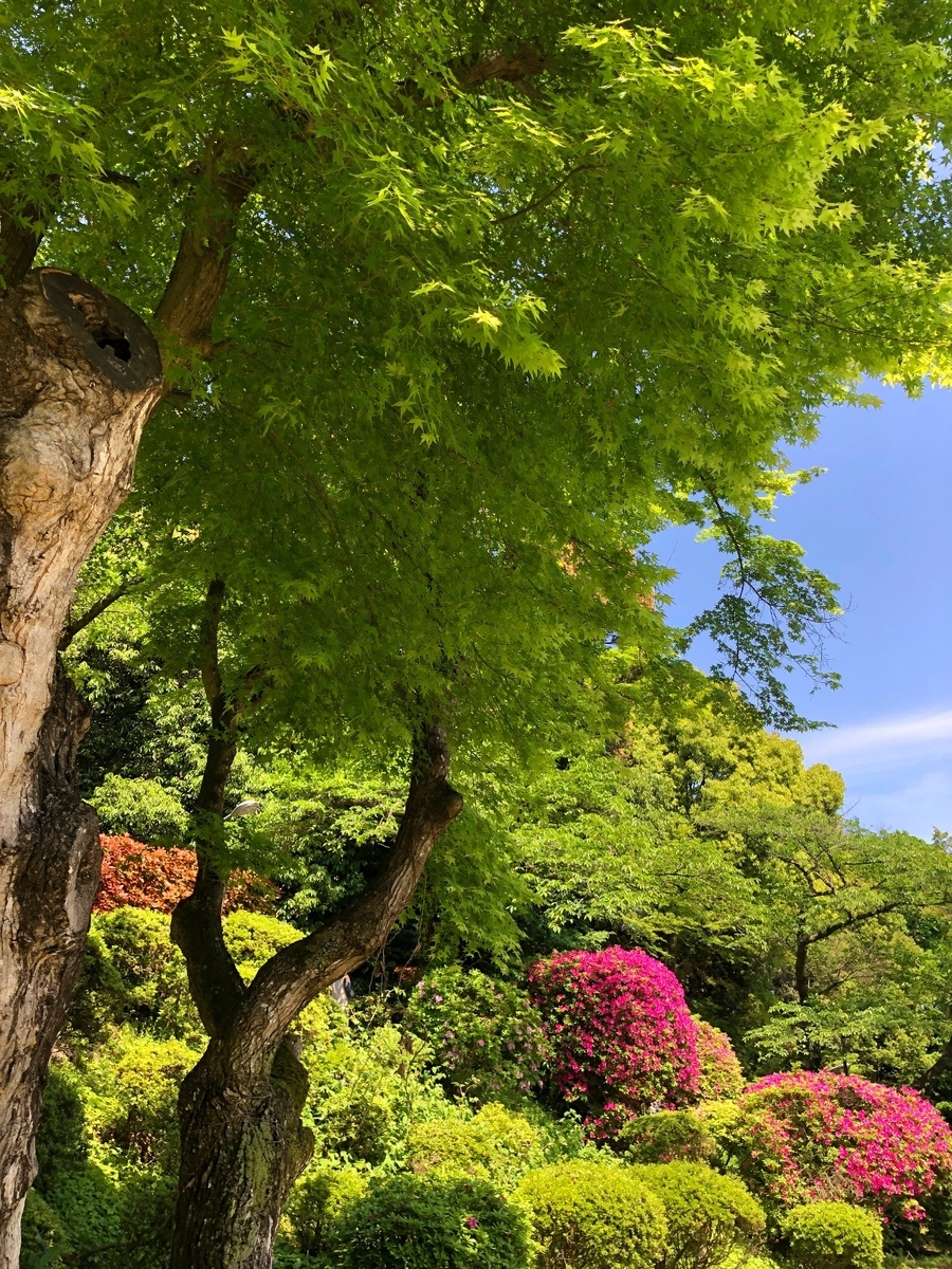 f:id:jimuin310:20190521144101j:plain f:id:jimuin310:20190521144101j:plain