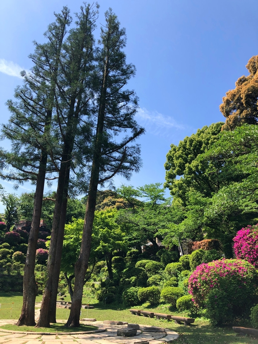 f:id:jimuin310:20190521154427j:plain f:id:jimuin310:20190521154427j:plain