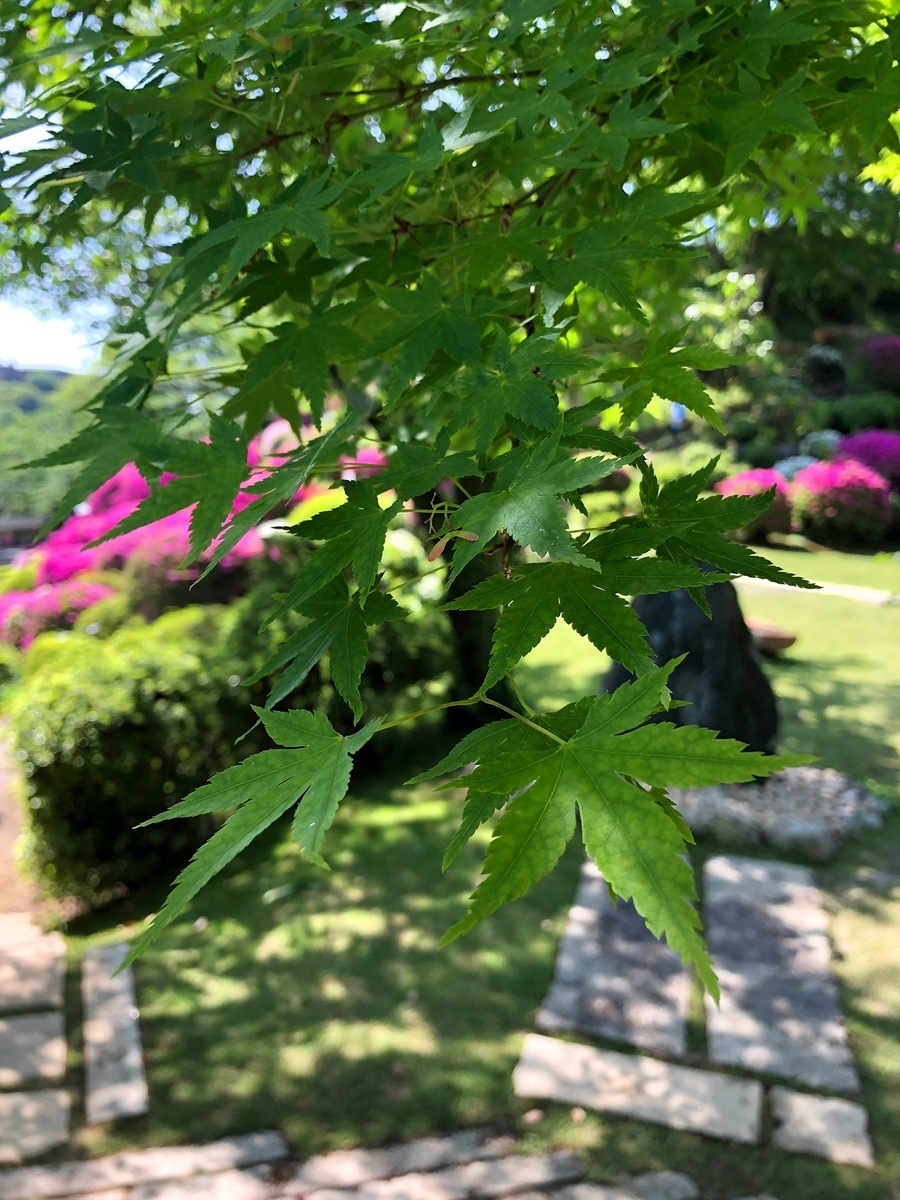 f:id:jimuin310:20190521164932j:plain f:id:jimuin310:20190521164932j:plain