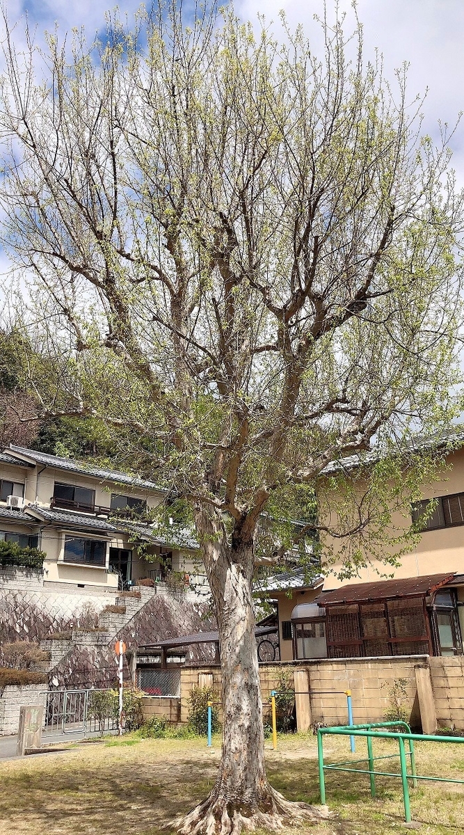 f:id:jimuin310:20190615134026j:plain