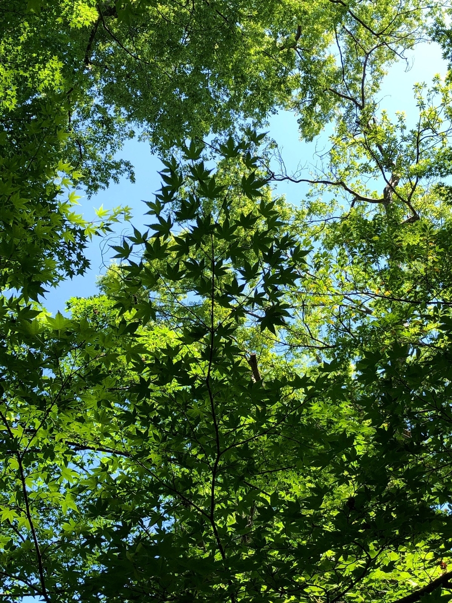 f:id:jimuin310:20190618140218j:plain f:id:jimuin310:20190618140218j:plain