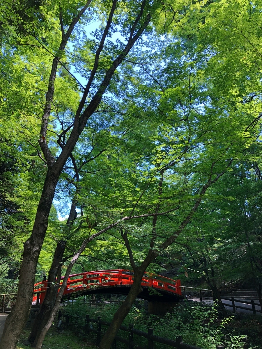 f:id:jimuin310:20190618141620j:plain f:id:jimuin310:20190618141620j:plain