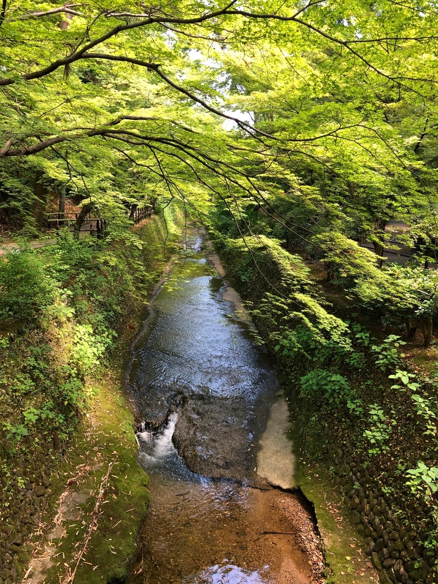 f:id:jimuin310:20190618142059j:plain f:id:jimuin310:20190618142059j:plain