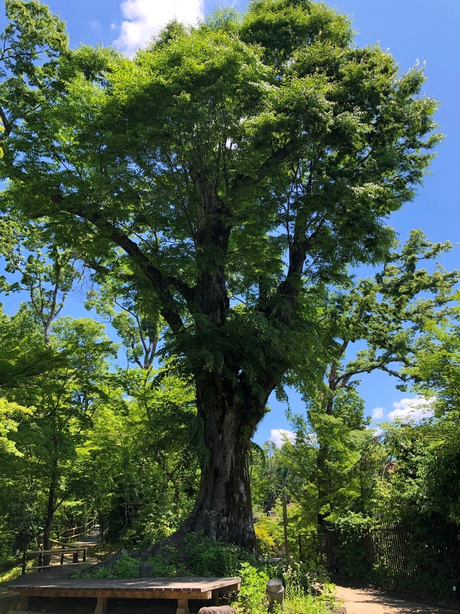 f:id:jimuin310:20190618161722j:plain f:id:jimuin310:20190618161722j:plain