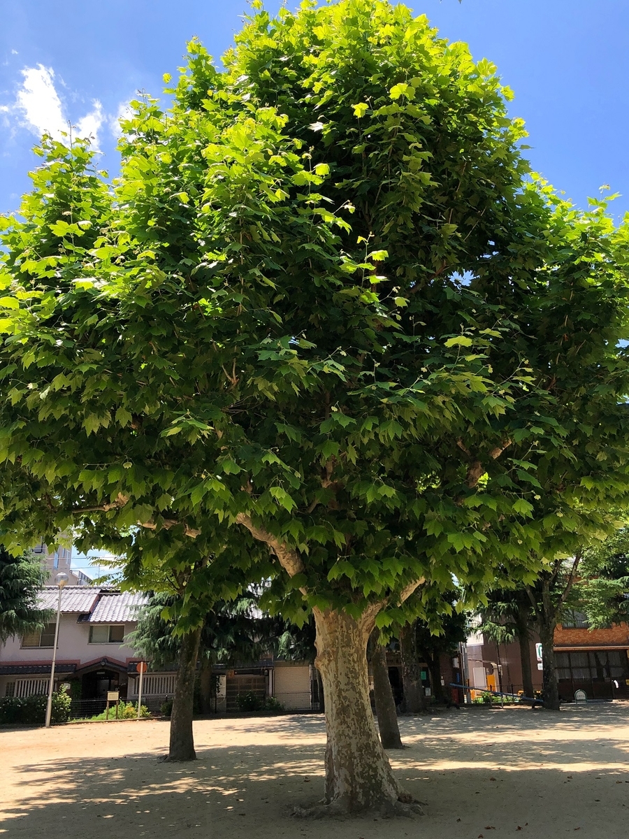 f:id:jimuin310:20190623171915j:plain f:id:jimuin310:20190623171915j:plain