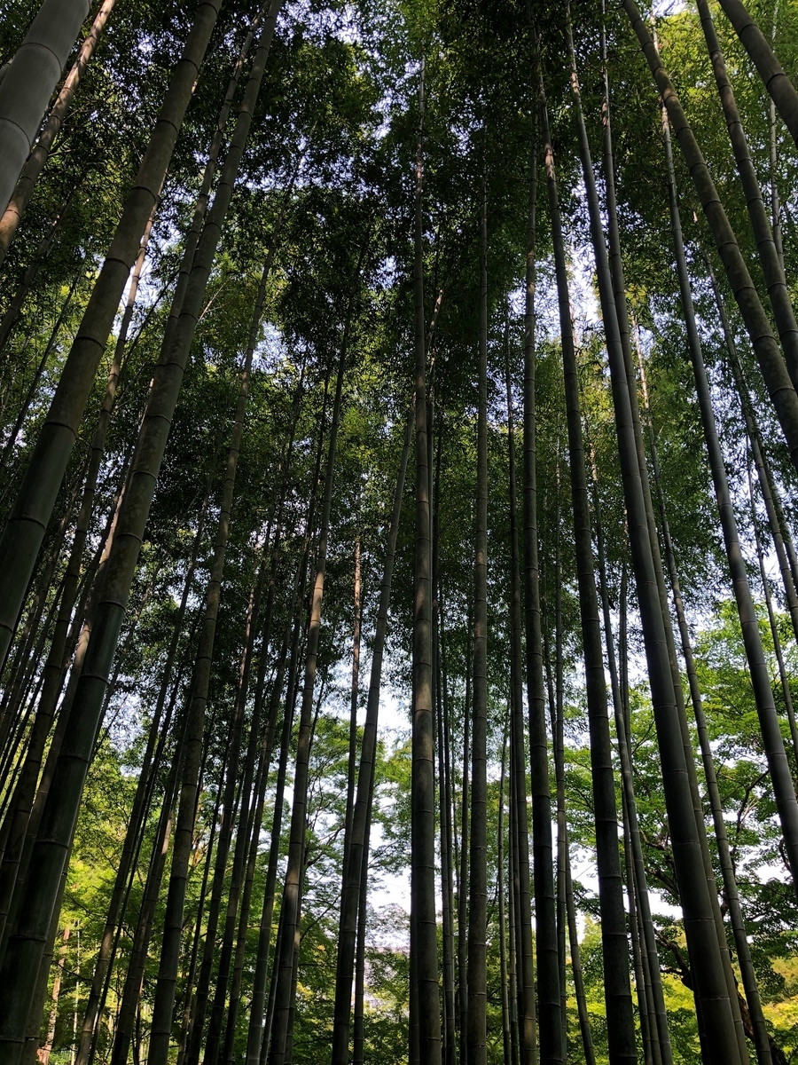 f:id:jimuin310:20190702161656j:plain f:id:jimuin310:20190702161656j:plain