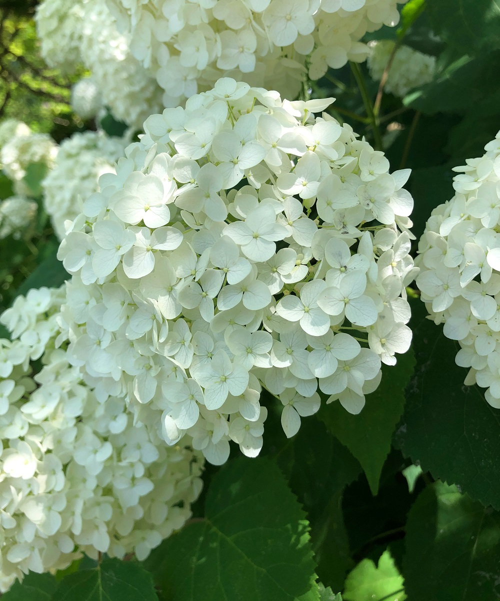 f:id:jimuin310:20190705141805j:plain f:id:jimuin310:20190705141805j:plain
