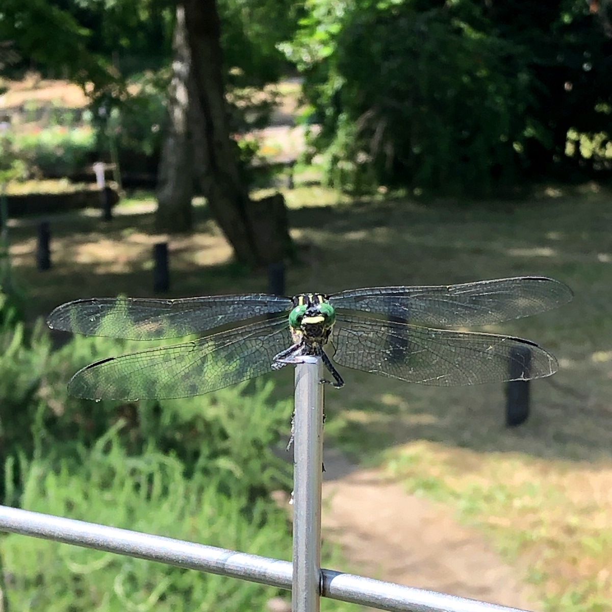 f:id:jimuin310:20190705145604j:plain f:id:jimuin310:20190705145604j:plain