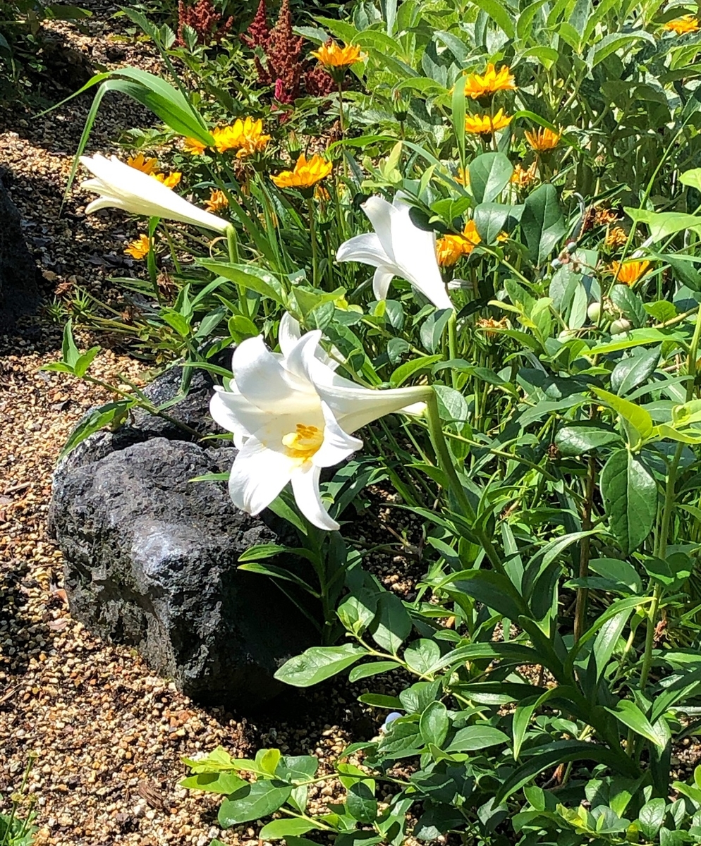 f:id:jimuin310:20190705151124j:plain f:id:jimuin310:20190705151124j:plain