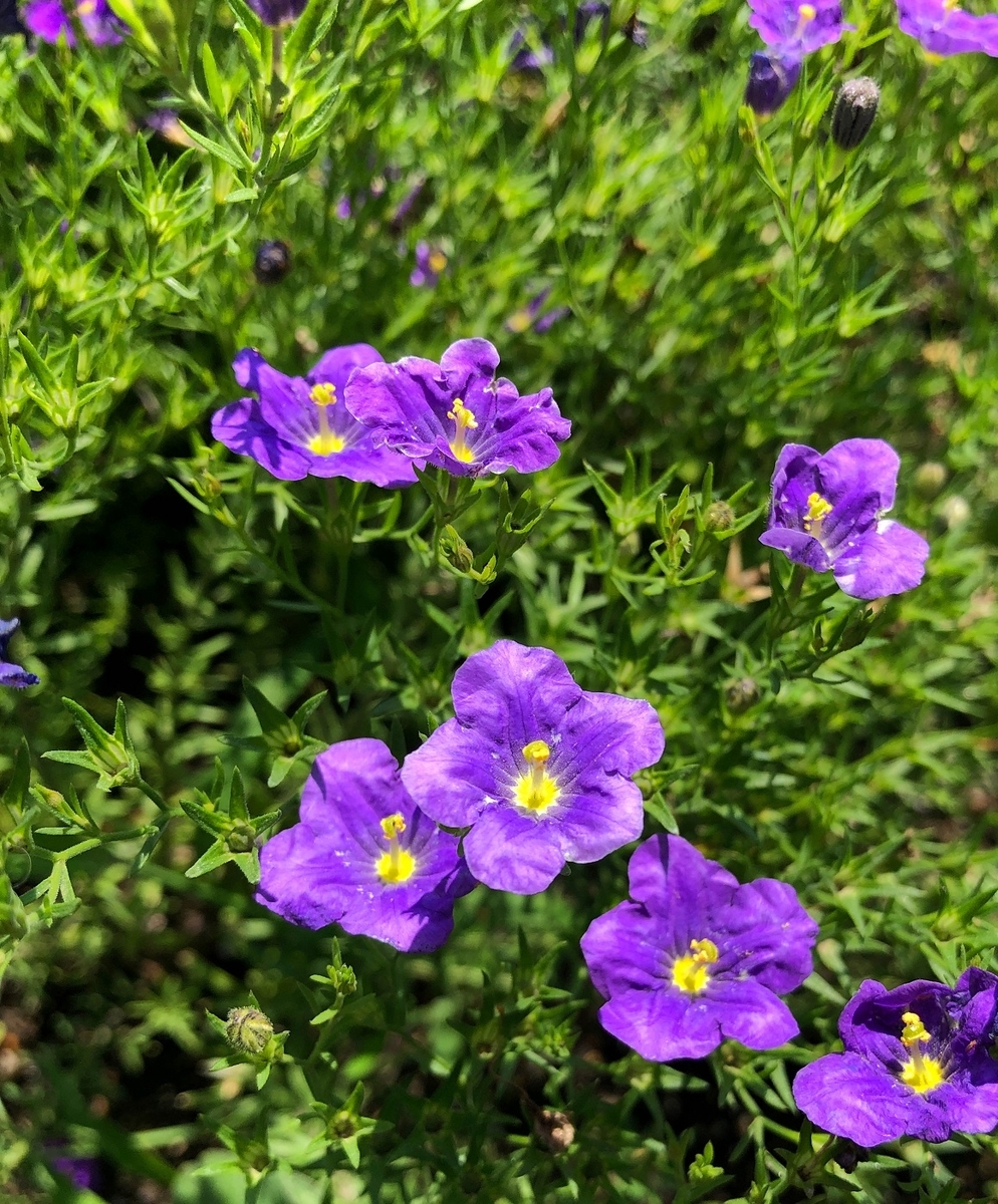 f:id:jimuin310:20190705151127j:plain f:id:jimuin310:20190705151127j:plain