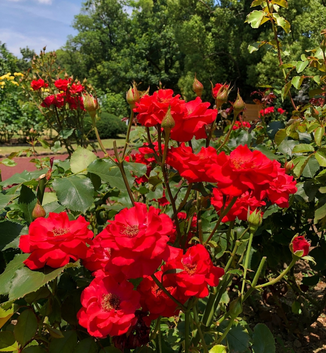 f:id:jimuin310:20190707153928j:plain f:id:jimuin310:20190707153928j:plain