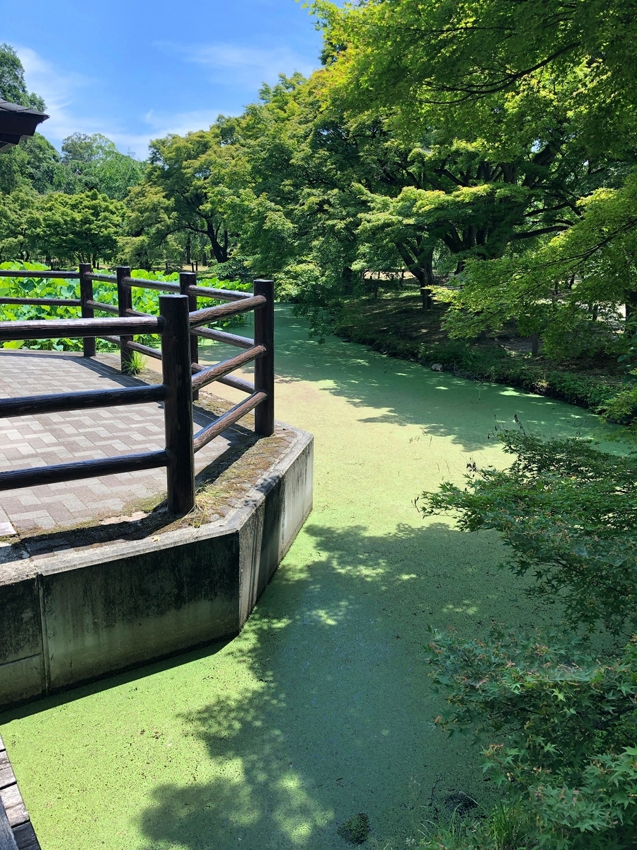 f:id:jimuin310:20190707161130j:plain f:id:jimuin310:20190707161130j:plain