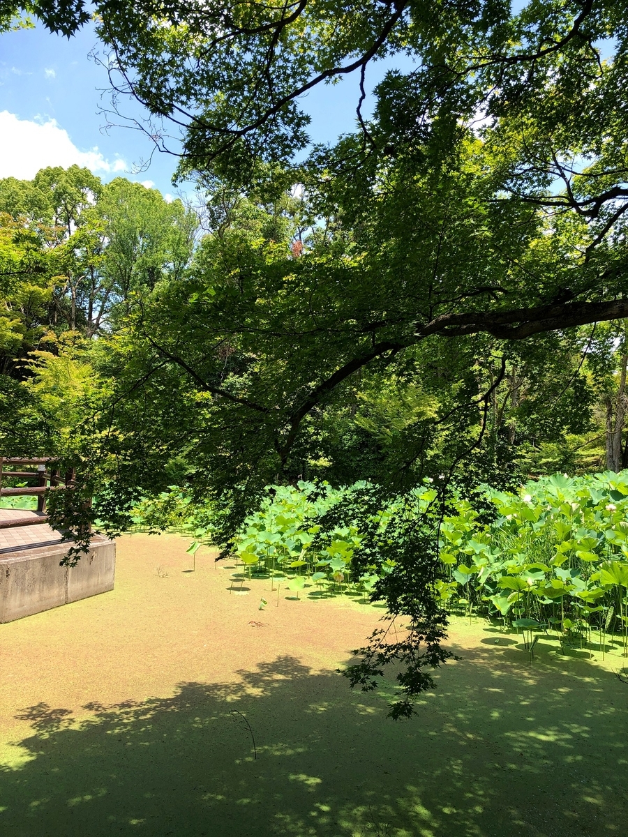 f:id:jimuin310:20190707161134j:plain f:id:jimuin310:20190707161134j:plain