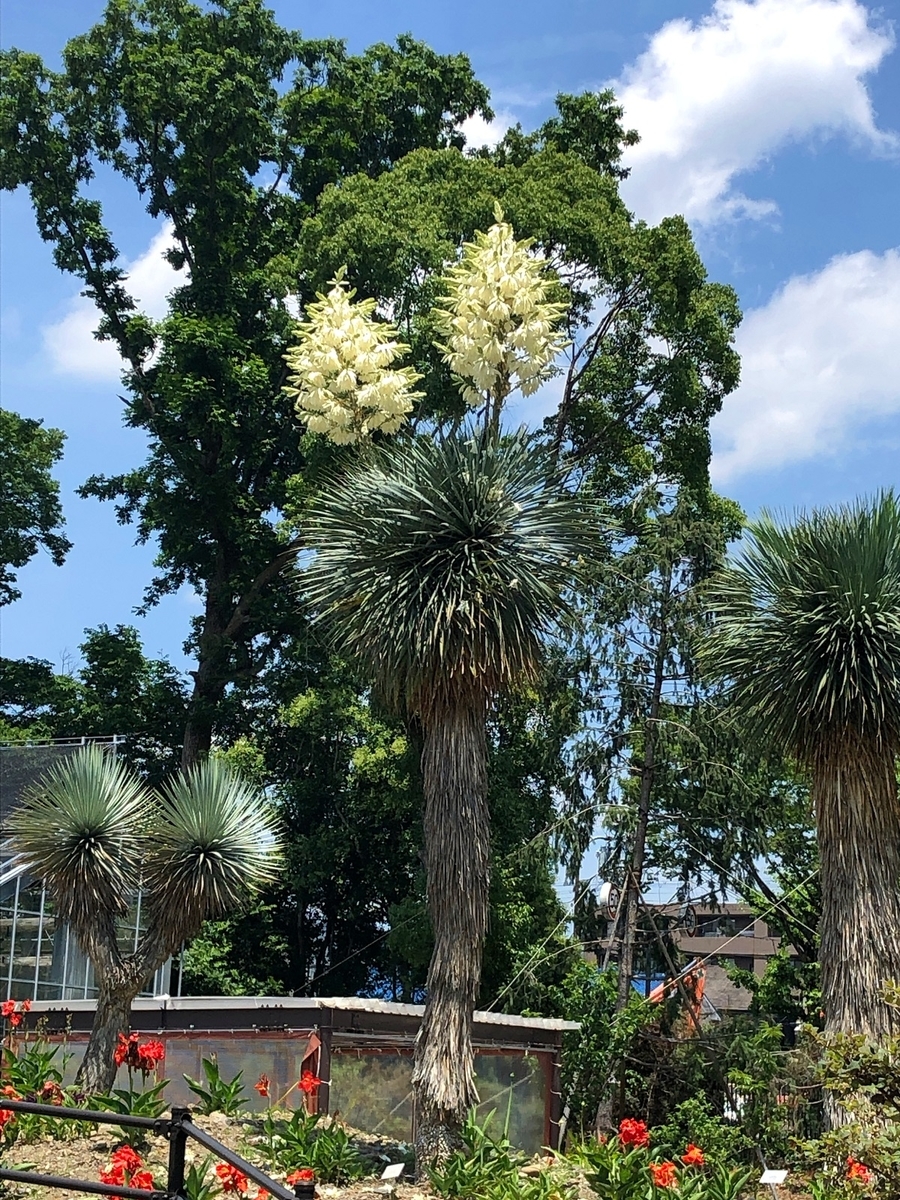 f:id:jimuin310:20190707165412j:plain f:id:jimuin310:20190707165412j:plain