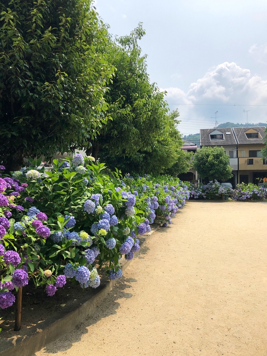 f:id:jimuin310:20190709163732j:plain f:id:jimuin310:20190709163732j:plain