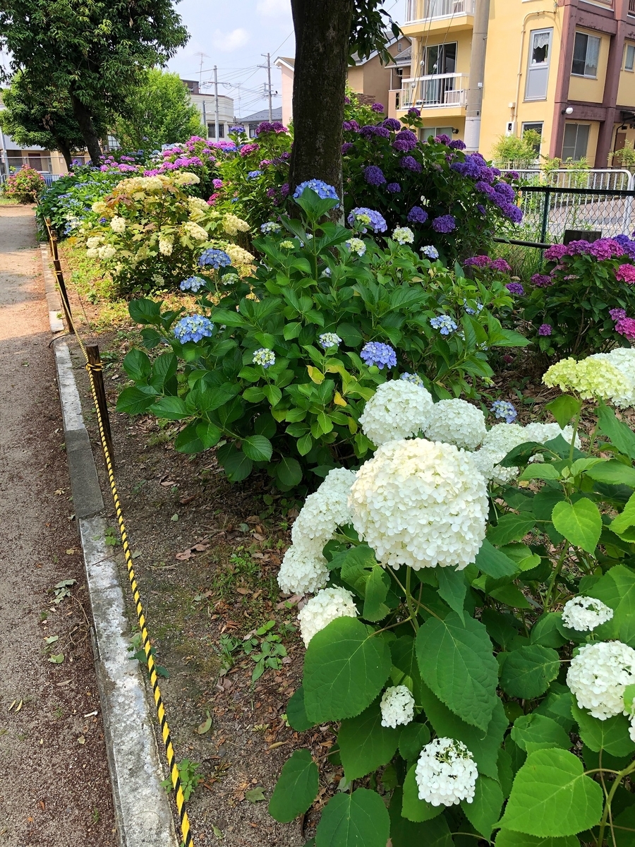 f:id:jimuin310:20190709163735j:plain f:id:jimuin310:20190709163735j:plain