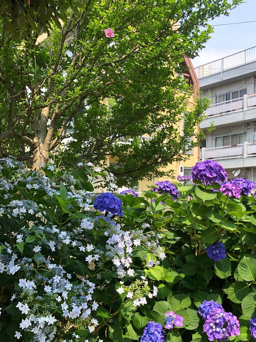 f:id:jimuin310:20190709163739j:plain f:id:jimuin310:20190709163739j:plain