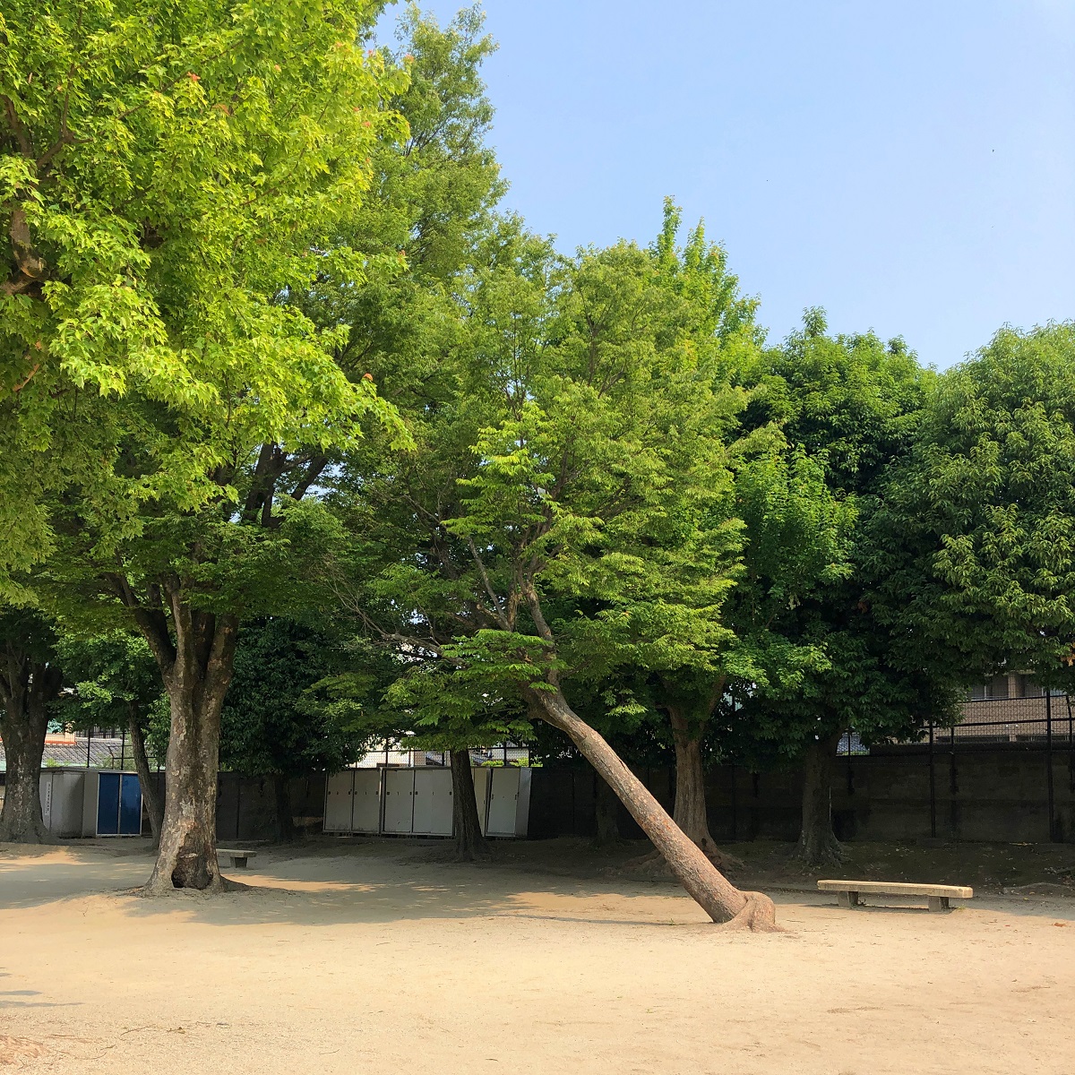 f:id:jimuin310:20190715173532j:plain f:id:jimuin310:20190715173532j:plain