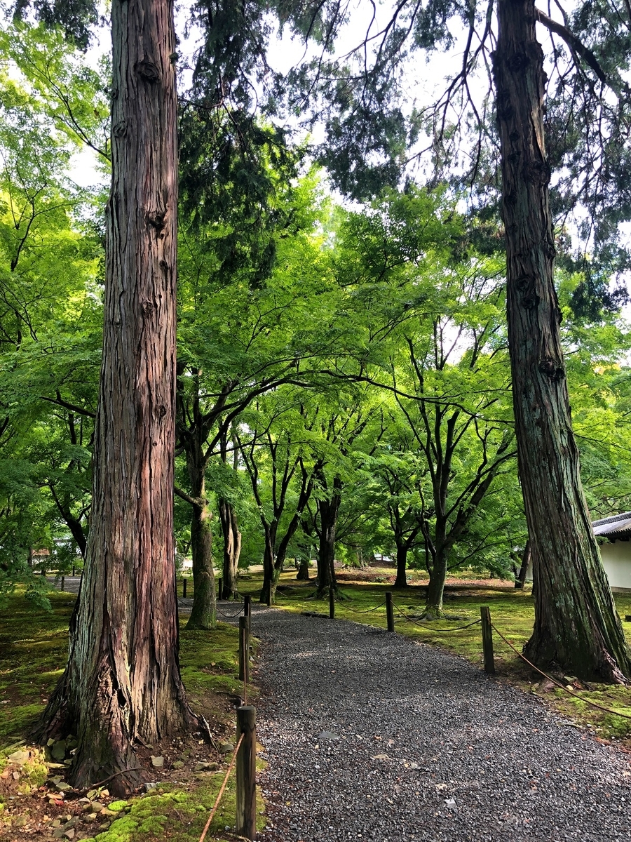 f:id:jimuin310:20190808153123j:plain f:id:jimuin310:20190808153123j:plain