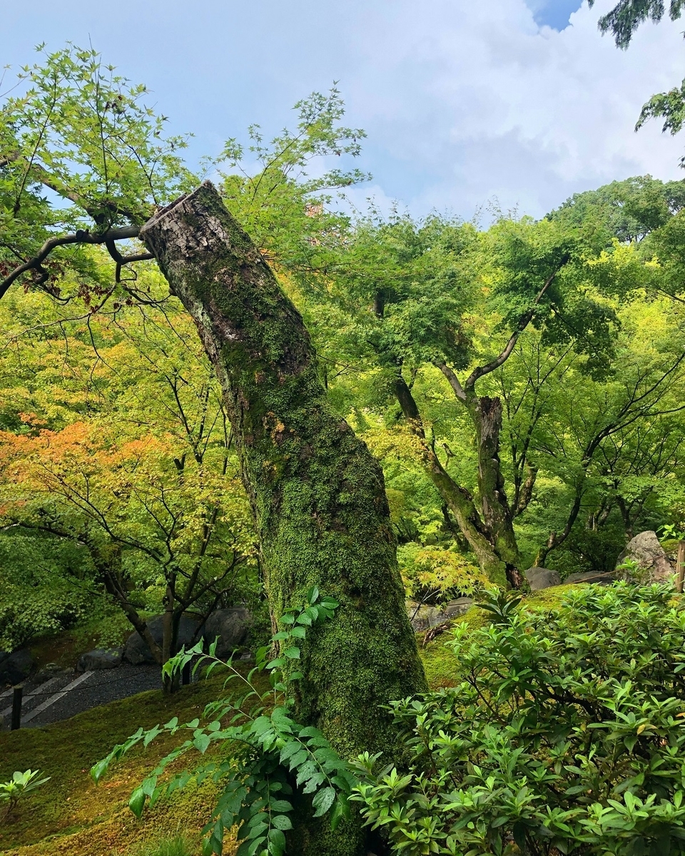 f:id:jimuin310:20190808153437j:plain f:id:jimuin310:20190808153437j:plain