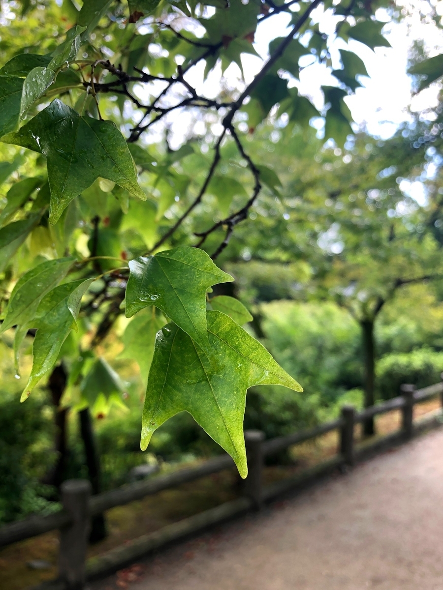 f:id:jimuin310:20190808153559j:plain f:id:jimuin310:20190808153559j:plain