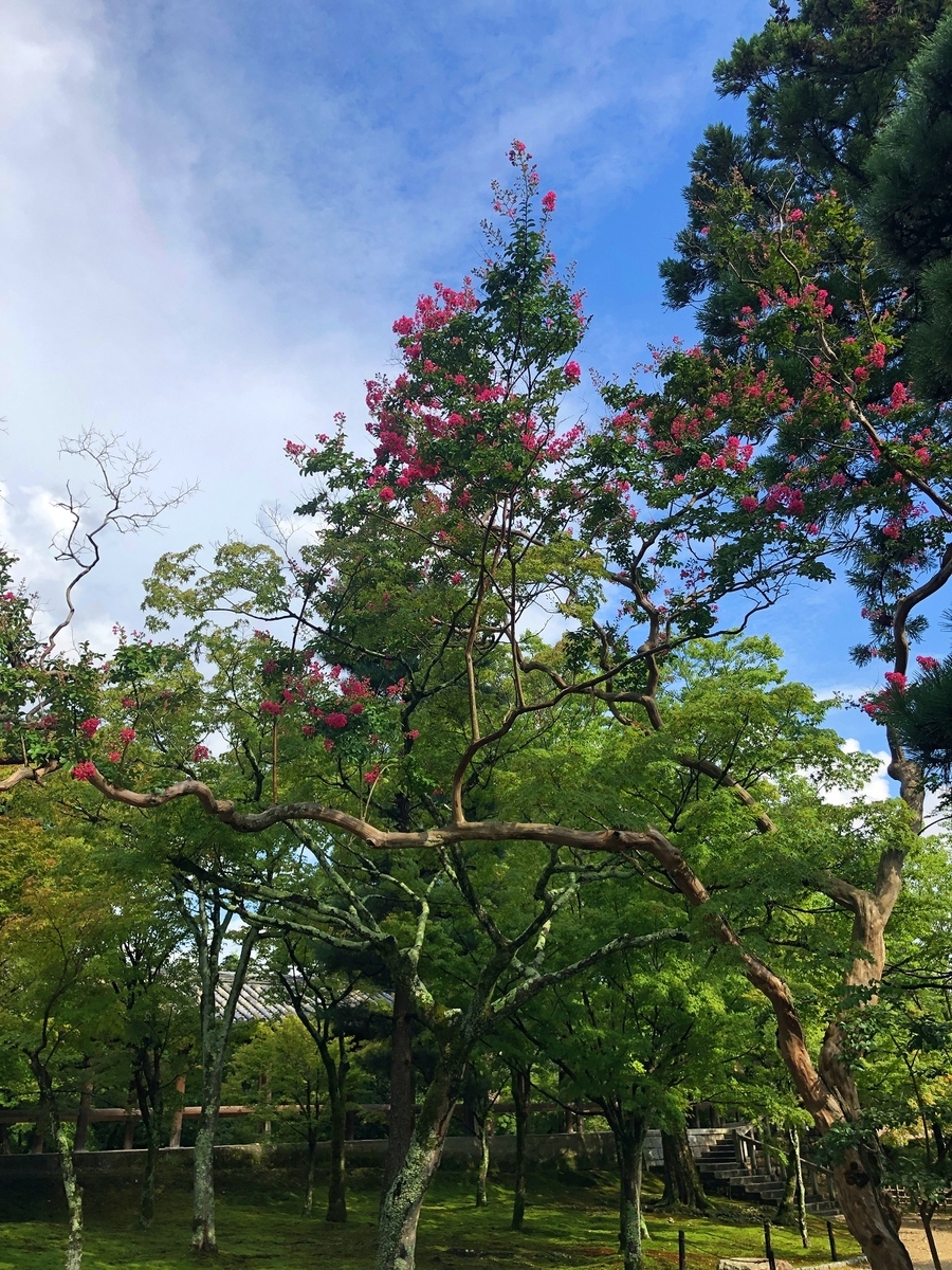 f:id:jimuin310:20190808165909j:plain f:id:jimuin310:20190808165909j:plain