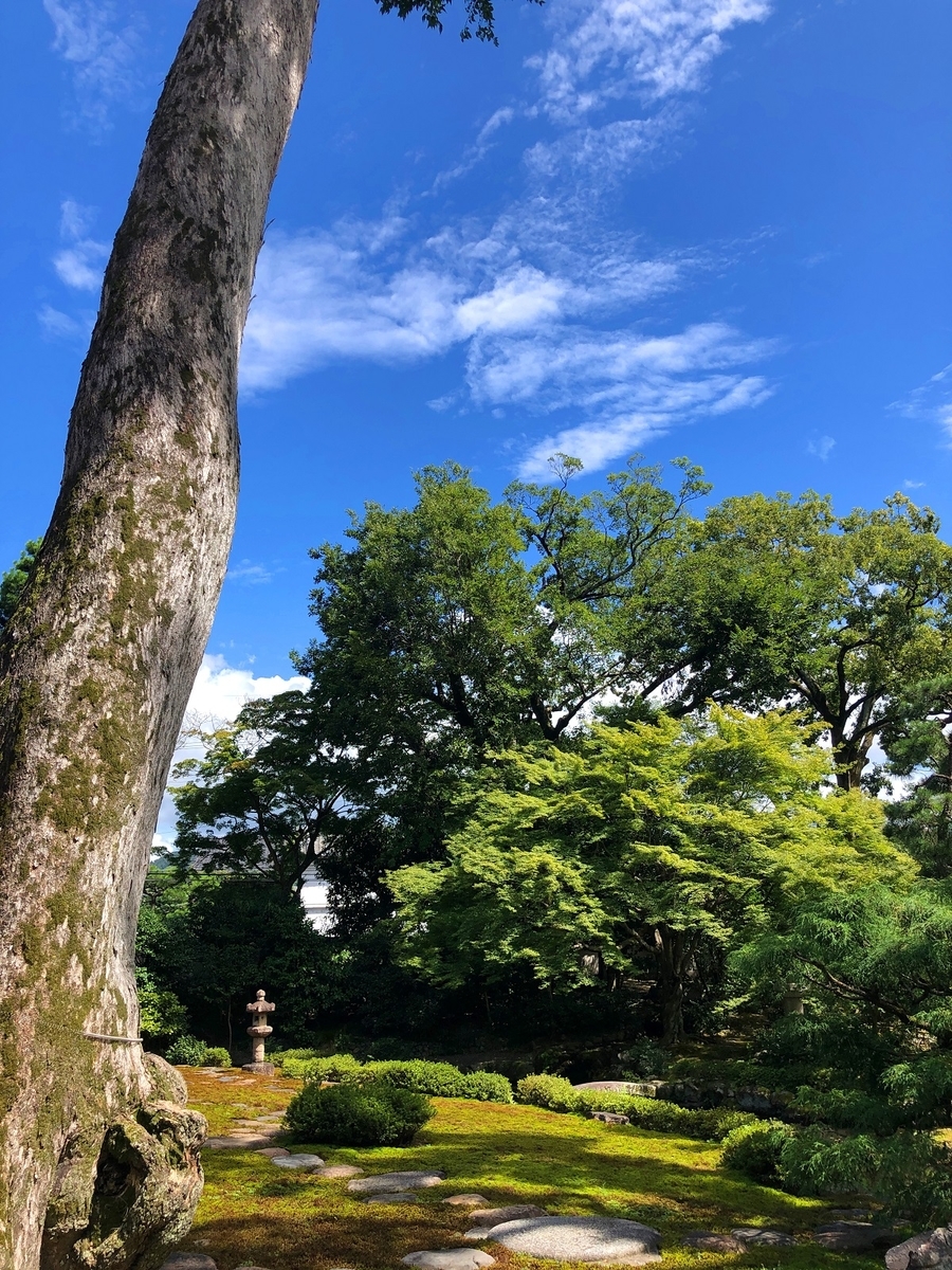 f:id:jimuin310:20190908145905j:plain f:id:jimuin310:20190908145905j:plain
