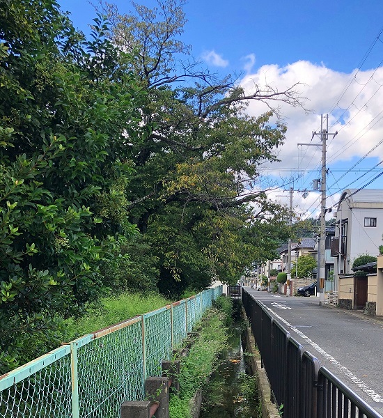 f:id:jimuin310:20190926161222j:plain