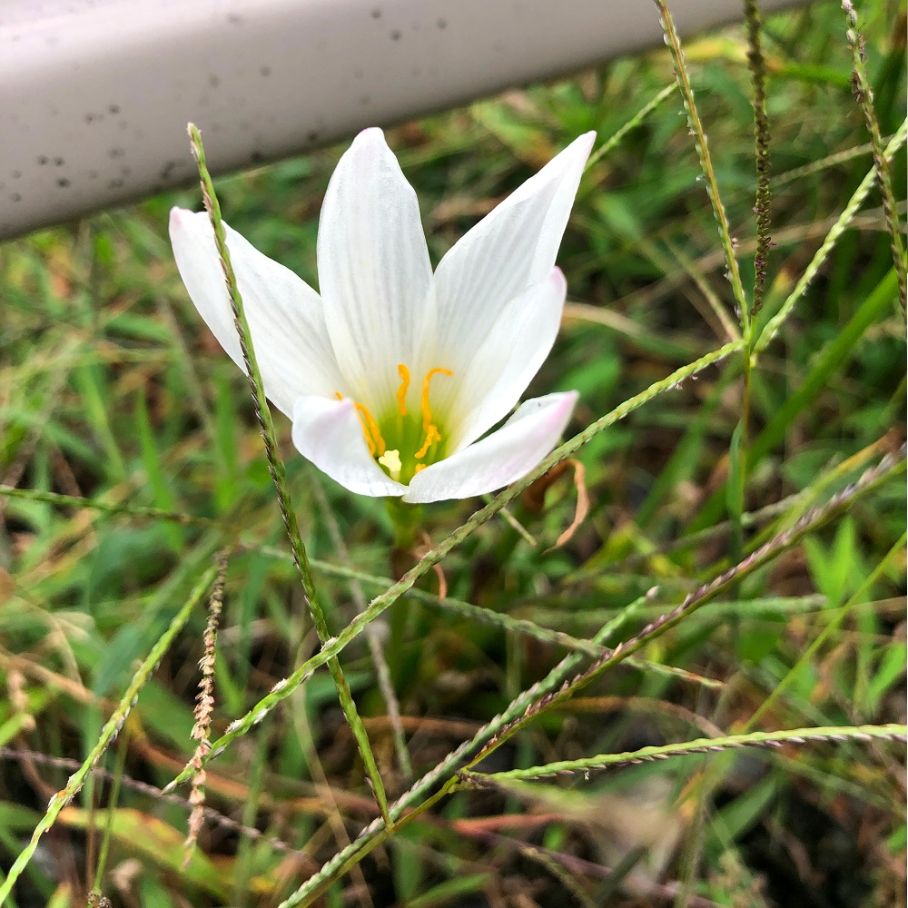 f:id:jimuin310:20190928160113j:plain f:id:jimuin310:20190928160113j:plain