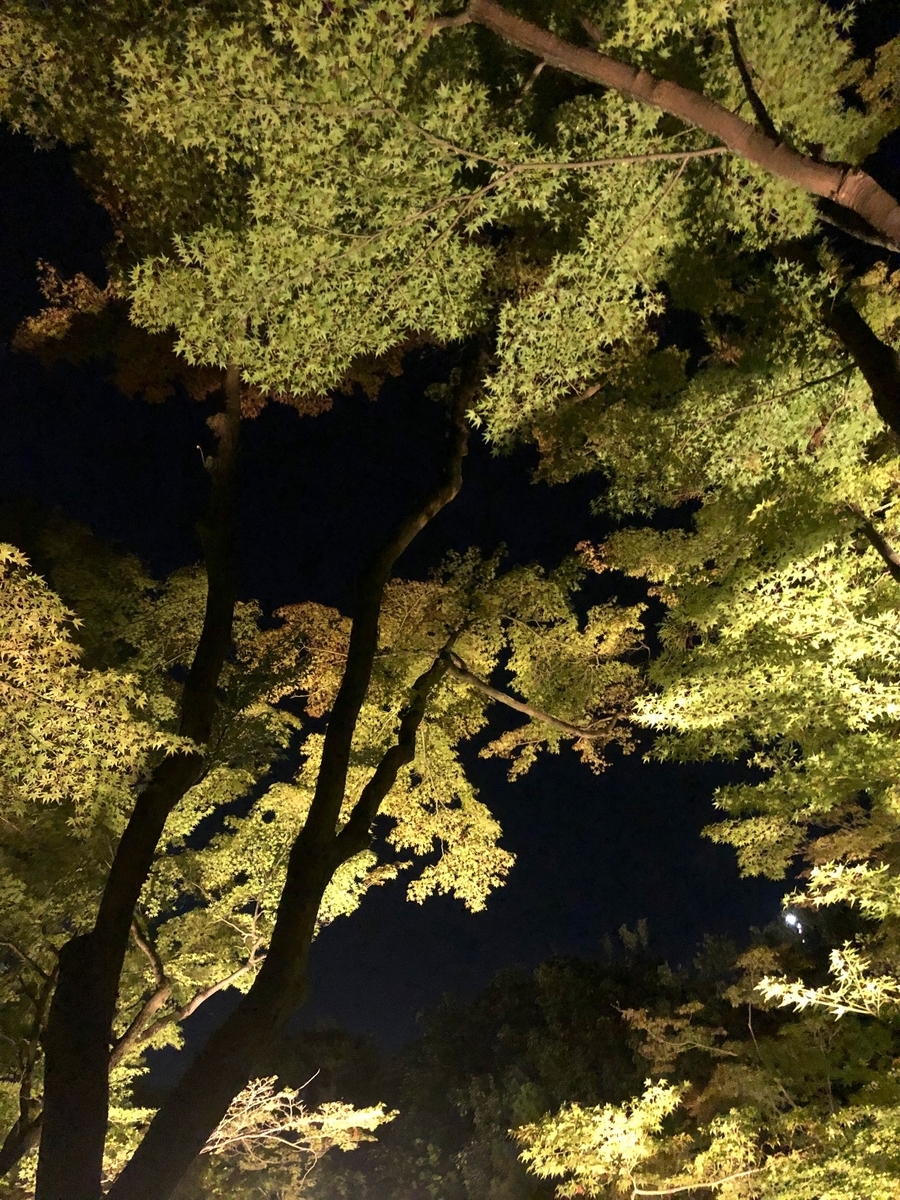 f:id:jimuin310:20191001160035j:plain f:id:jimuin310:20191001160035j:plain