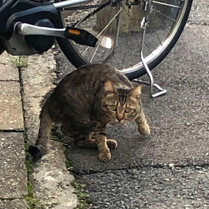 f:id:jimuin310:20191007161100j:plain f:id:jimuin310:20191007161100j:plain