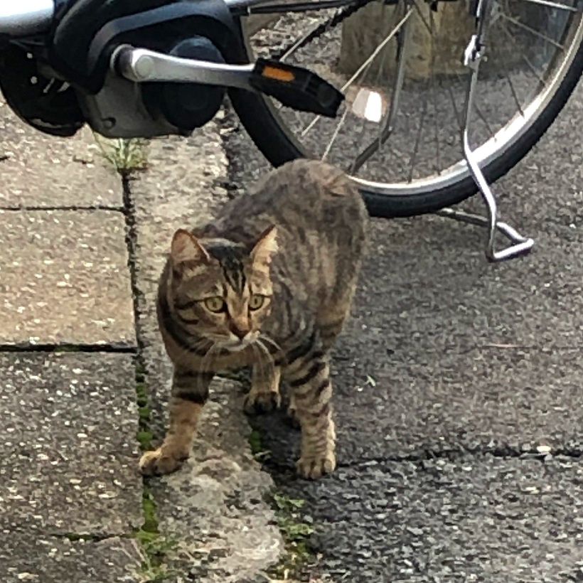 f:id:jimuin310:20191007161103j:plain f:id:jimuin310:20191007161103j:plain
