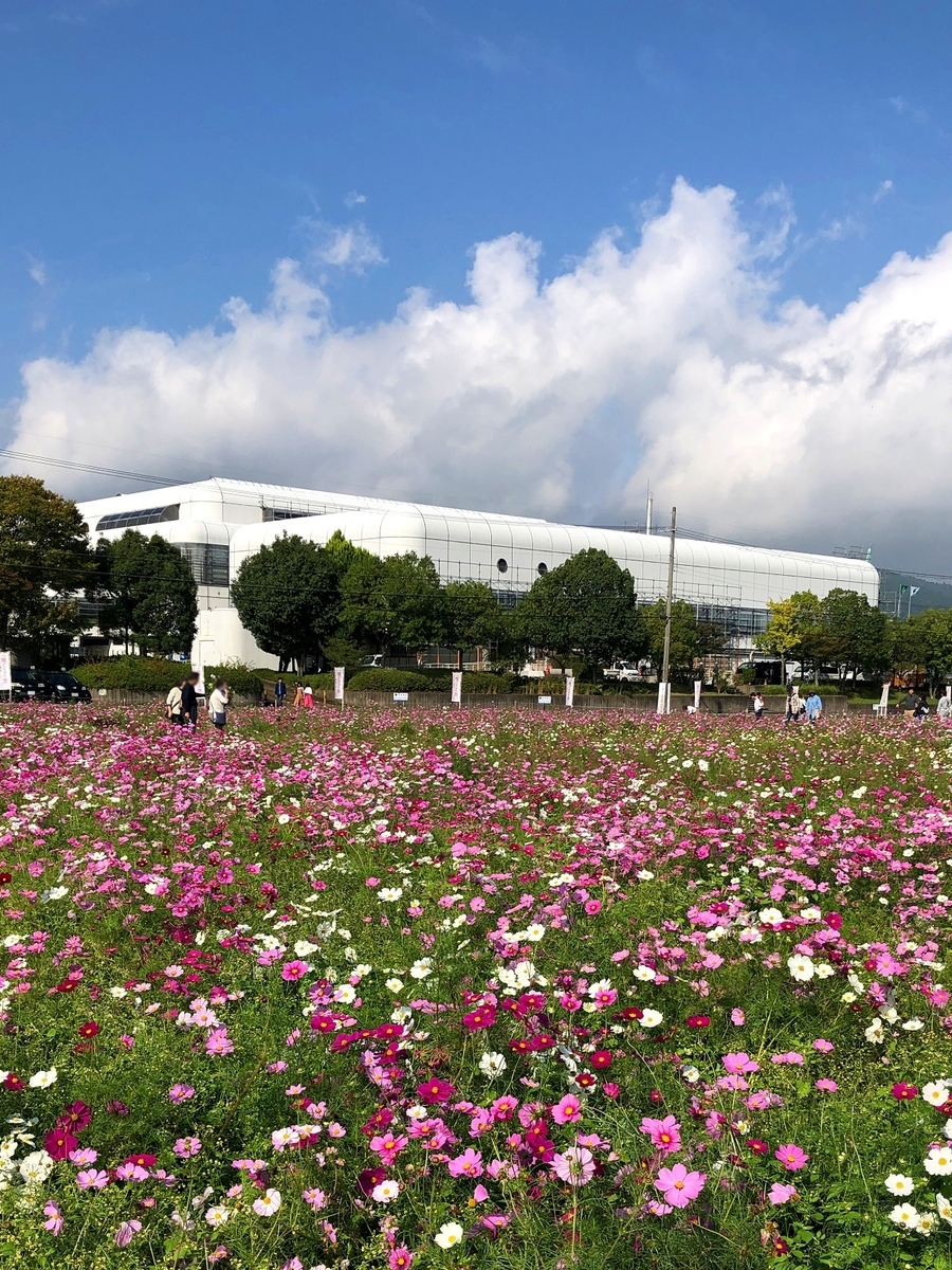 f:id:jimuin310:20191028144440j:plain f:id:jimuin310:20191028144440j:plain