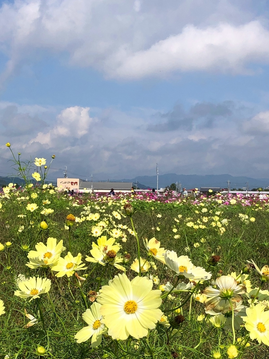 f:id:jimuin310:20191028162449j:plain f:id:jimuin310:20191028162449j:plain