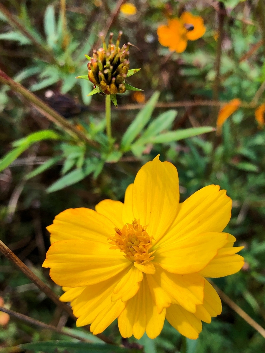 f:id:jimuin310:20191028162455j:plain f:id:jimuin310:20191028162455j:plain