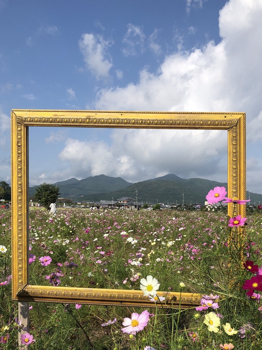 f:id:jimuin310:20191028172355j:plain f:id:jimuin310:20191028172355j:plain