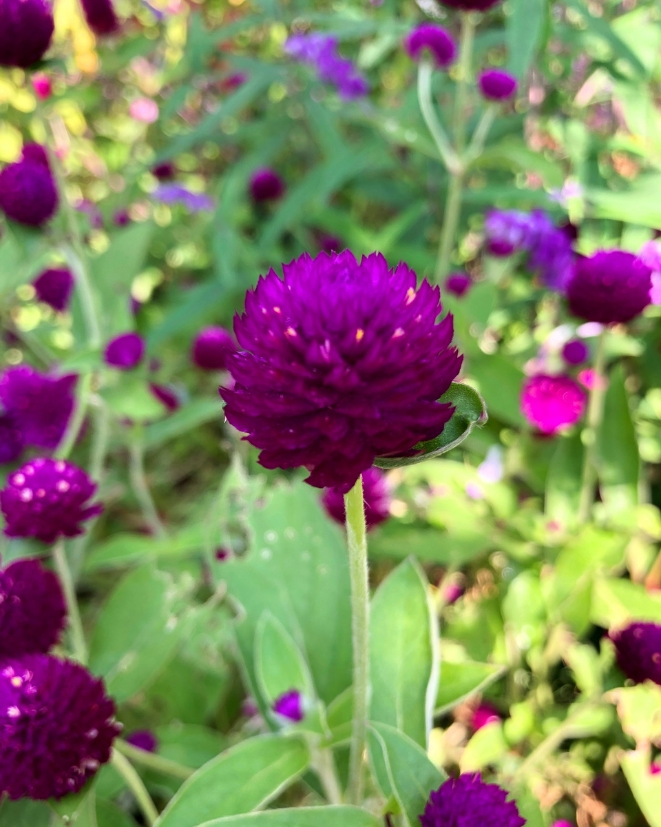 f:id:jimuin310:20191028174020j:plain f:id:jimuin310:20191028174020j:plain