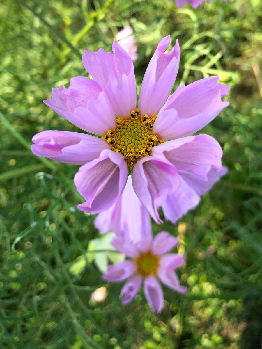 f:id:jimuin310:20191028175516j:plain f:id:jimuin310:20191028175516j:plain