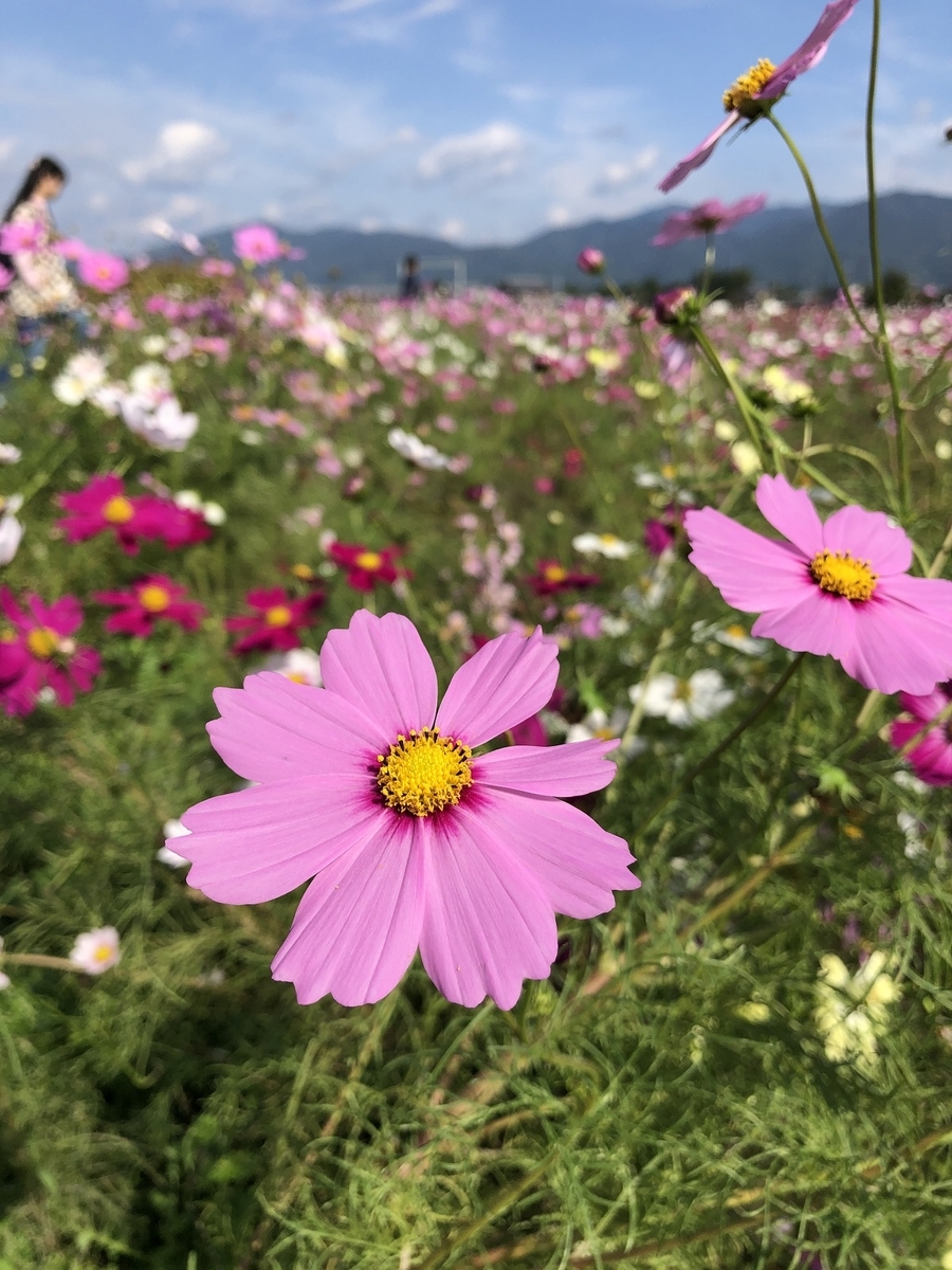 f:id:jimuin310:20191028175715j:plain f:id:jimuin310:20191028175715j:plain