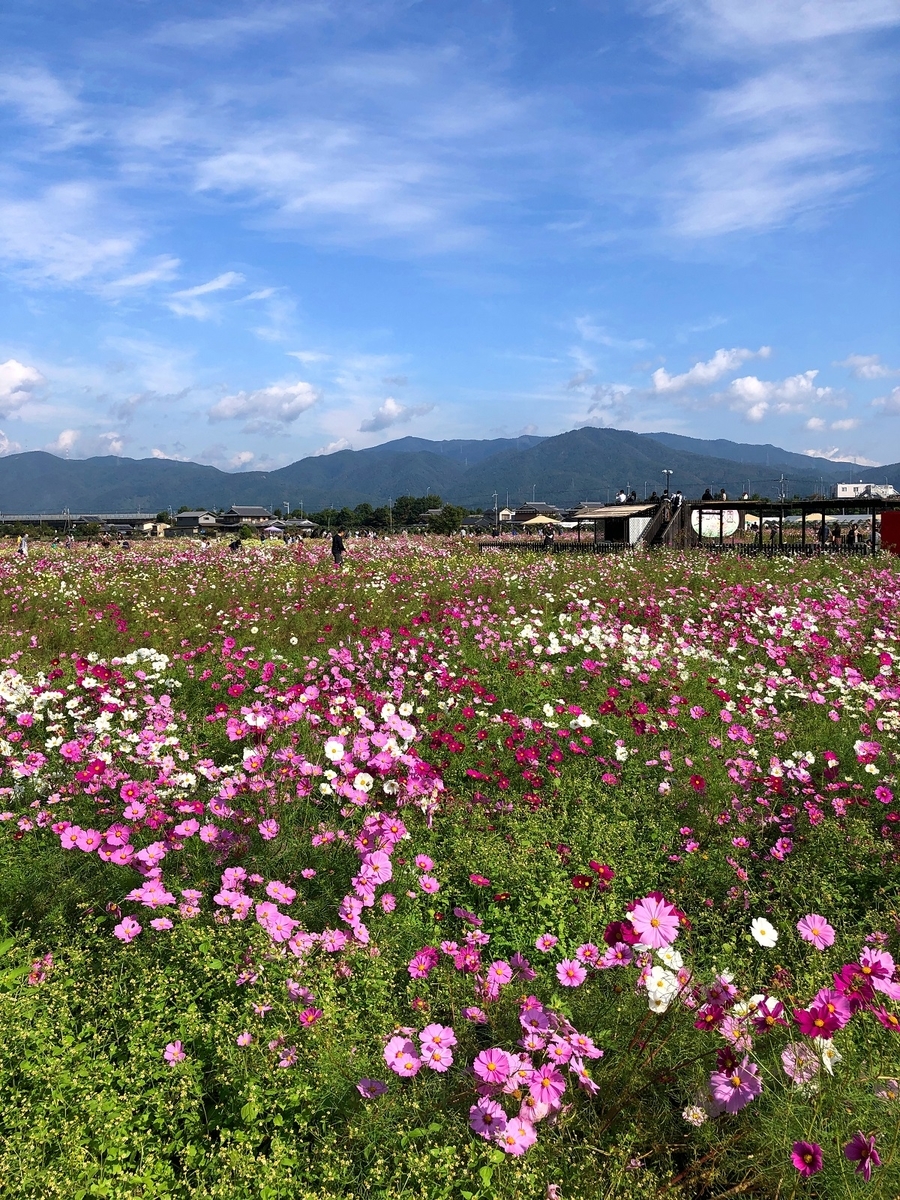 f:id:jimuin310:20191028175722j:plain f:id:jimuin310:20191028175722j:plain