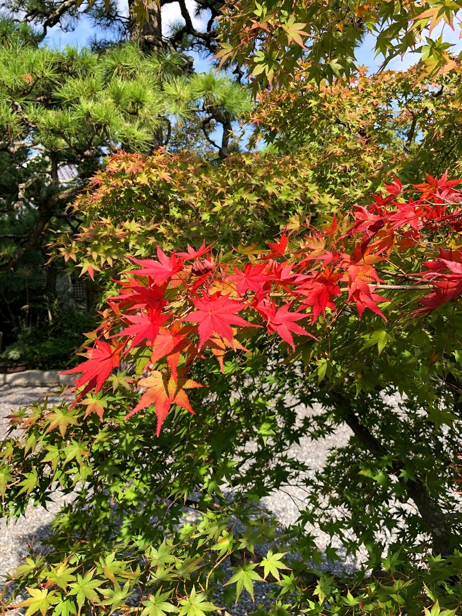 f:id:jimuin310:20191031154134j:plain f:id:jimuin310:20191031154134j:plain