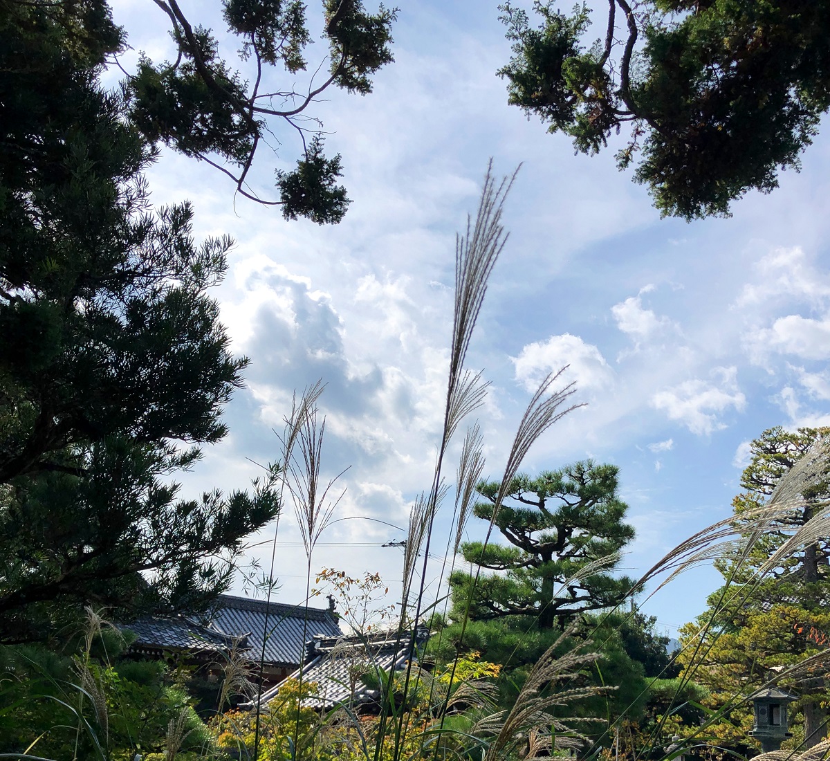 f:id:jimuin310:20191031154202j:plain f:id:jimuin310:20191031154202j:plain