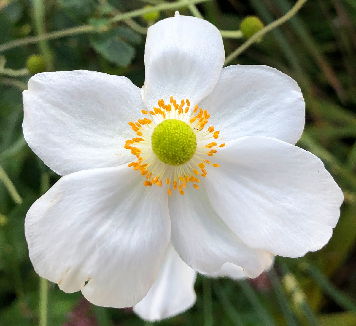 f:id:jimuin310:20191031154206j:plain f:id:jimuin310:20191031154206j:plain