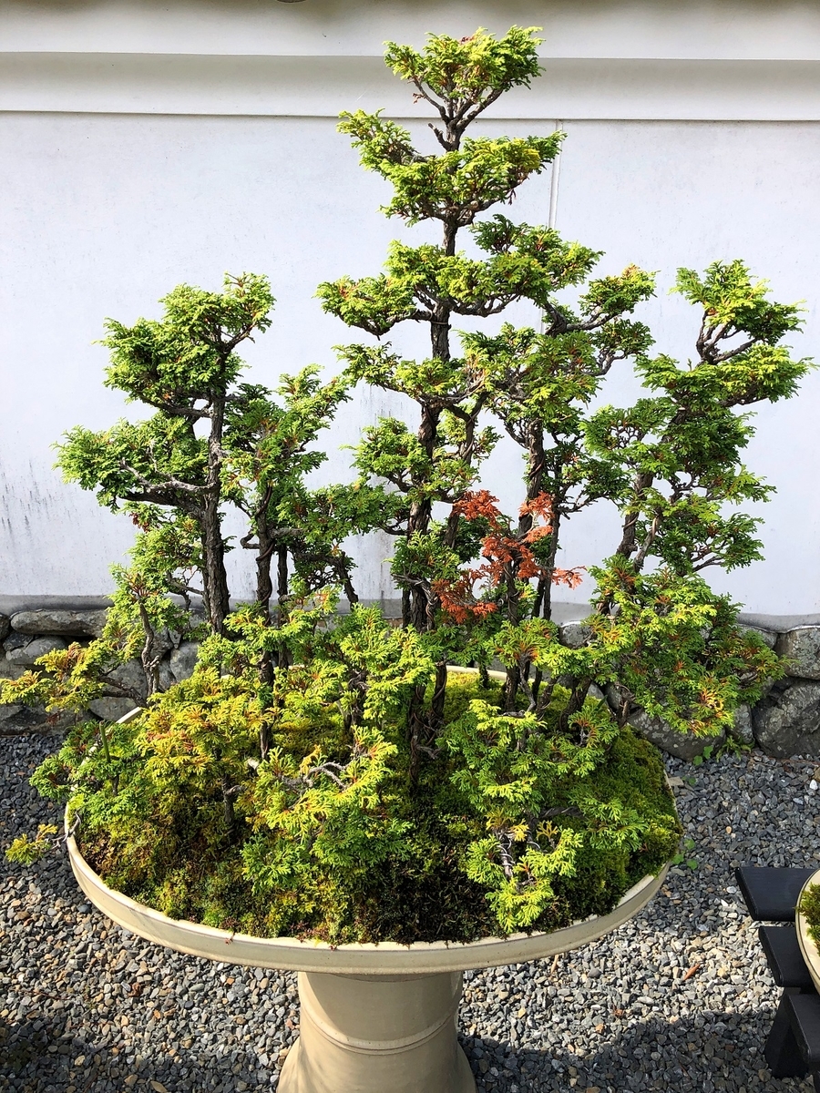f:id:jimuin310:20191031154230j:plain f:id:jimuin310:20191031154230j:plain