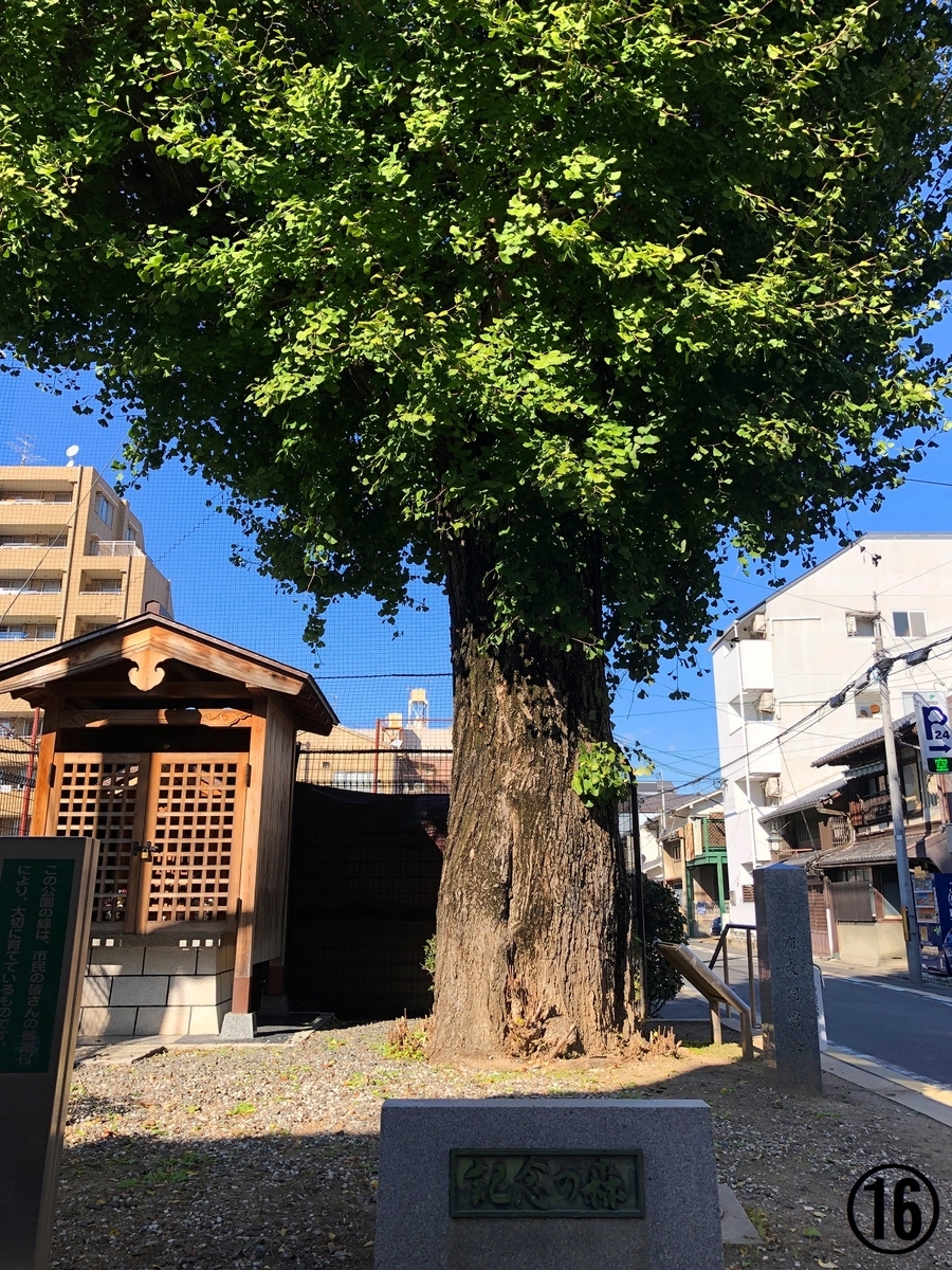f:id:jimuin310:20191112104209j:plain f:id:jimuin310:20191112104209j:plain