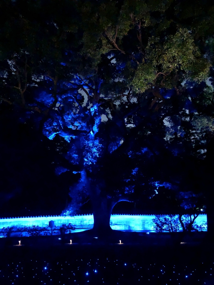 f:id:jimuin310:20191115102953j:plain f:id:jimuin310:20191115102953j:plain